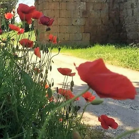 Sofia 3* Fabrica di Roma